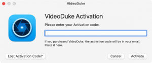 Activation window VideoDuke 