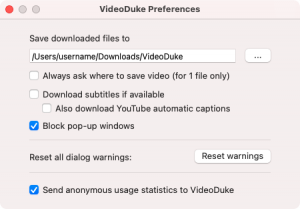 VideoDuke Preferences window